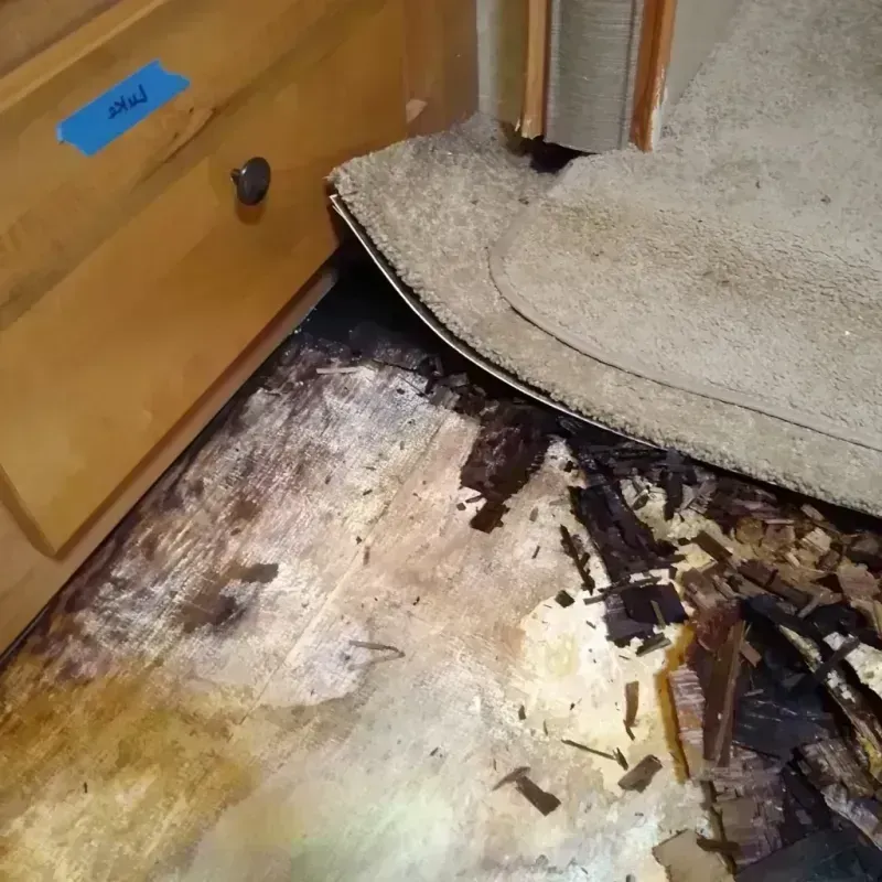 Wood Floor Water Damage in Sheridan, CO